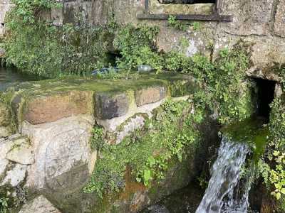 I lavatoi sorgevano infatti all�interno di fondi appartenenti a ricchi possidenti: erano dunque privati, ma resi fruibili a tutti, perch� l�acqua era un bene pubblico